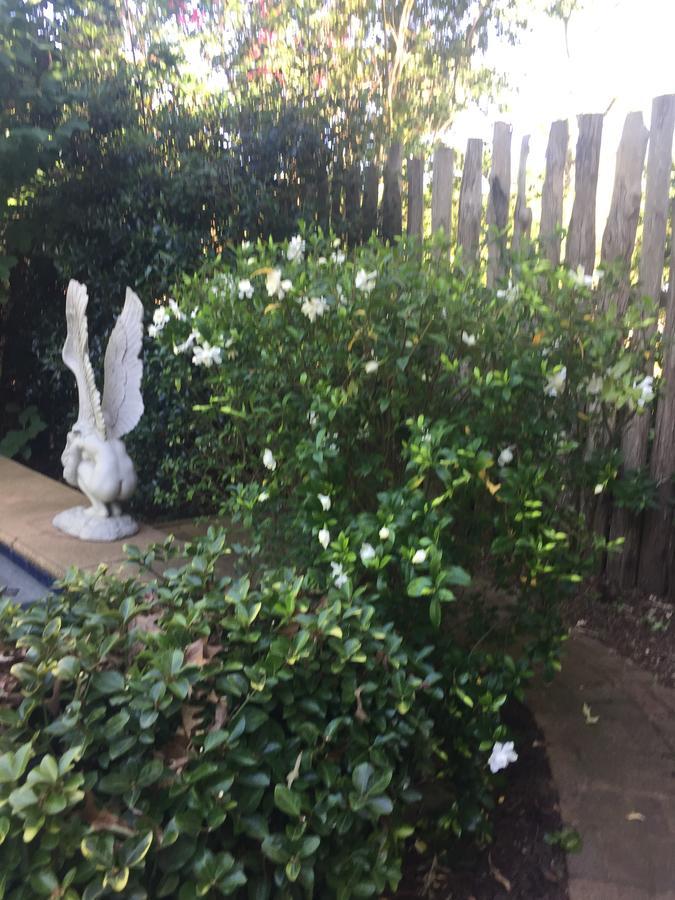 Fig Tree Manor Bed & Breakfast Palestine Bagian luar foto