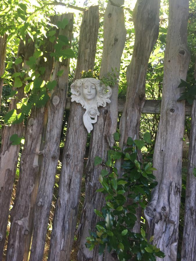Fig Tree Manor Bed & Breakfast Palestine Bagian luar foto